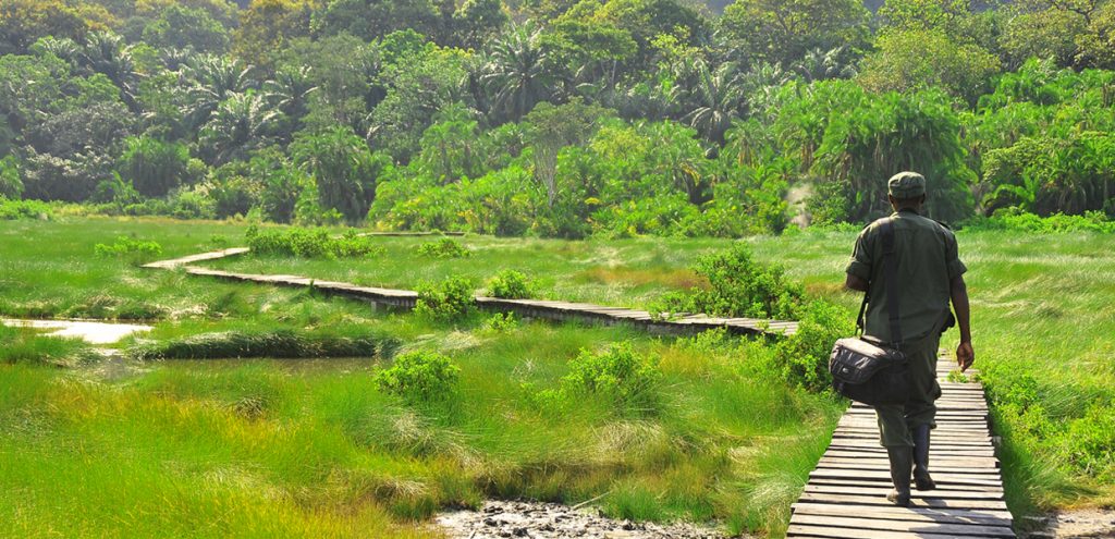 A walkable trail to Sempaya hotsprings  in Semuliki National Park, part of your wildlife safari Queen Semuliki tour